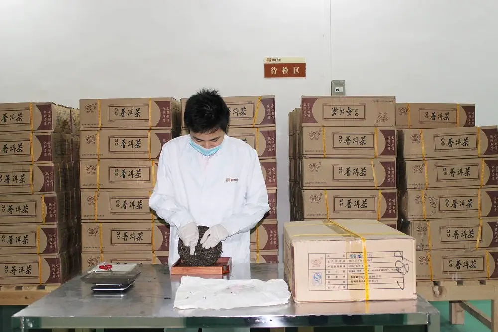 神农架普洱茶检验展示